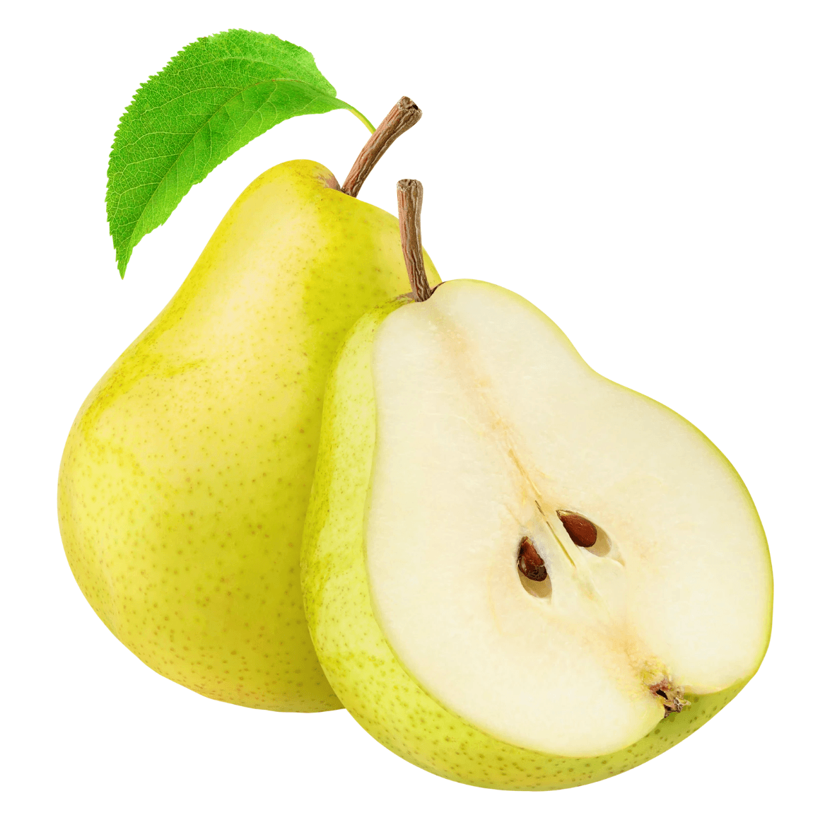 Nashpati